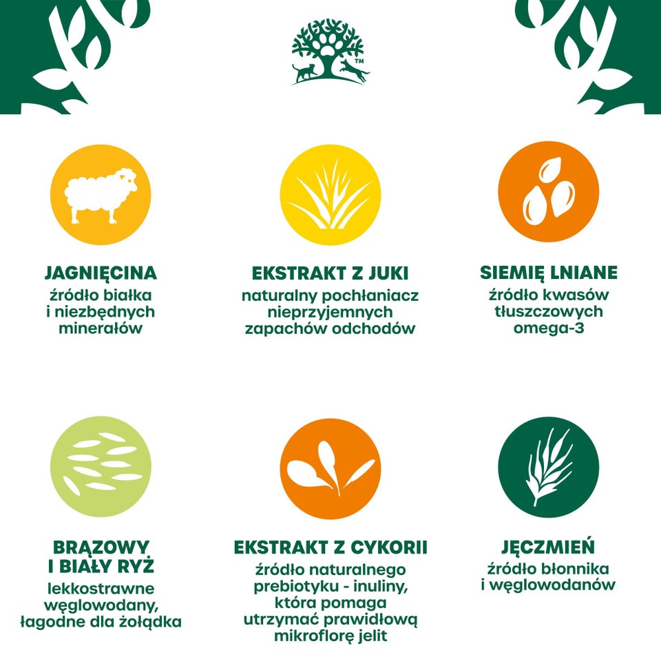 Hipoalergiczna Sucha Karma dla Dorosłych Psów Bogata w Jagnięcinę 2 kg