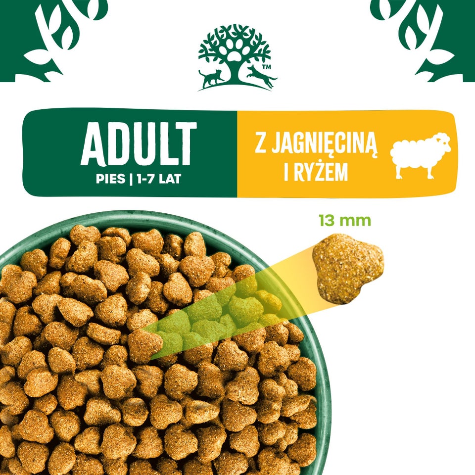 Hipoalergiczna Sucha Karma dla Dorosłych Psów Bogata w Jagnięcinę 2 kg