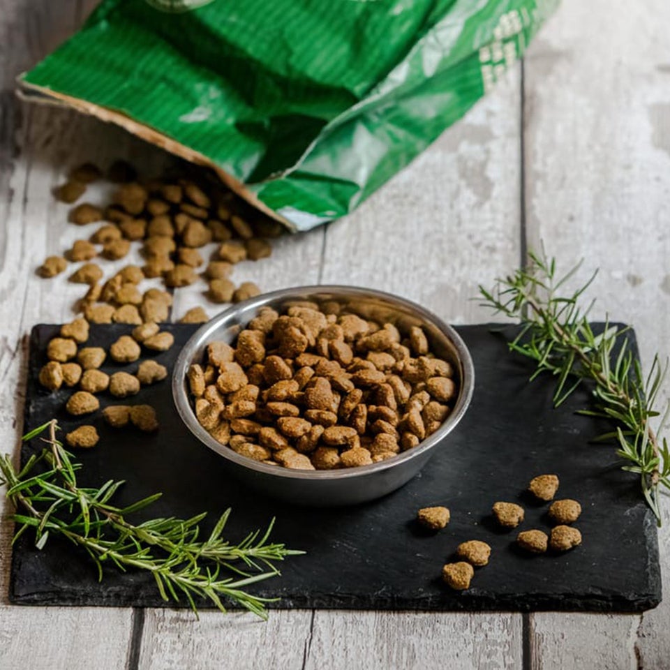 Hipoalergiczna Sucha Karma dla Dorosłych Psów Bogata w Jagnięcinę 2 kg