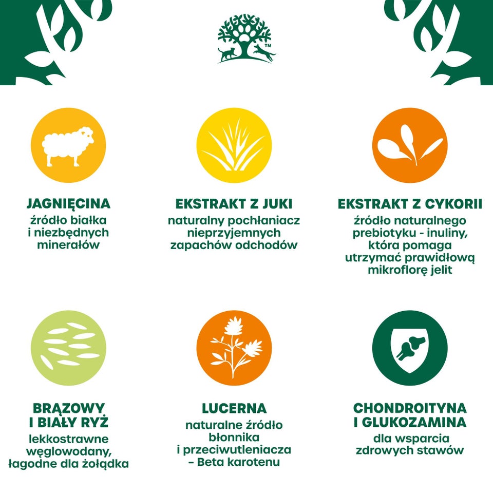 Hipoalergiczna Sucha Karma dla Starszych Psów Bogata w Jagnięcinę 2 kg