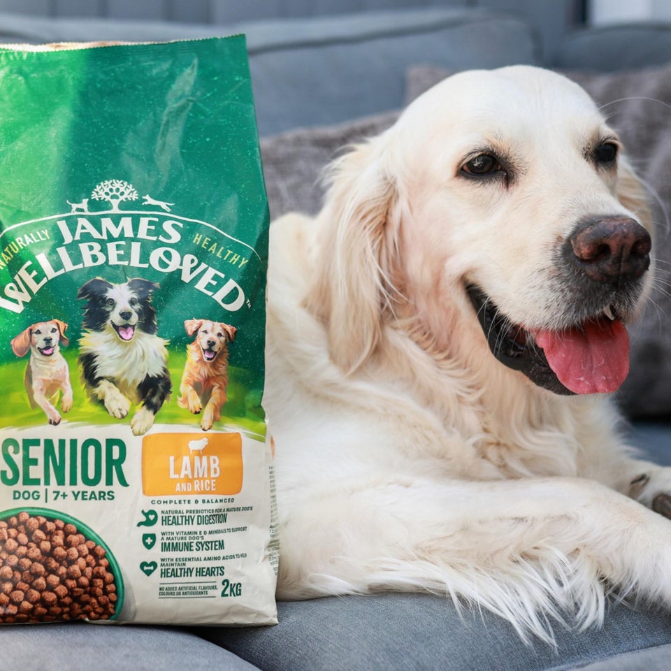 Hipoalergiczna Sucha Karma dla Starszych Psów Bogata w Jagnięcinę 2 kg