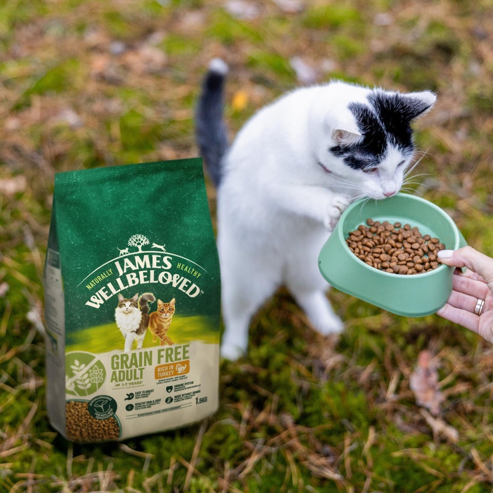 Hipoalergiczna Bezzbożowa Sucha Karma dla Dorosłych Kotów Bogata w Indyka 1,5 kg