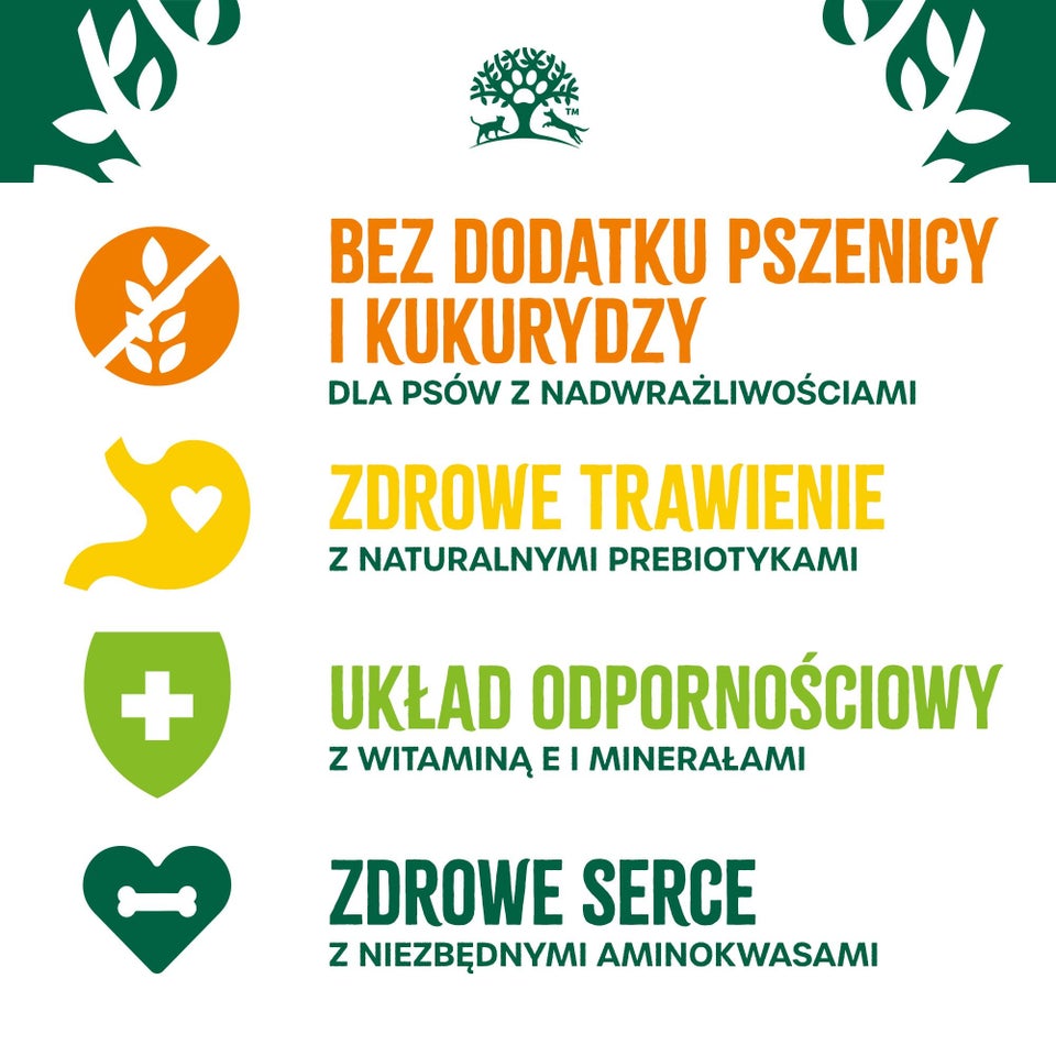 Hipoalergiczna Sucha Karma dla Starszych Psów Bogata w Indyka 2 kg