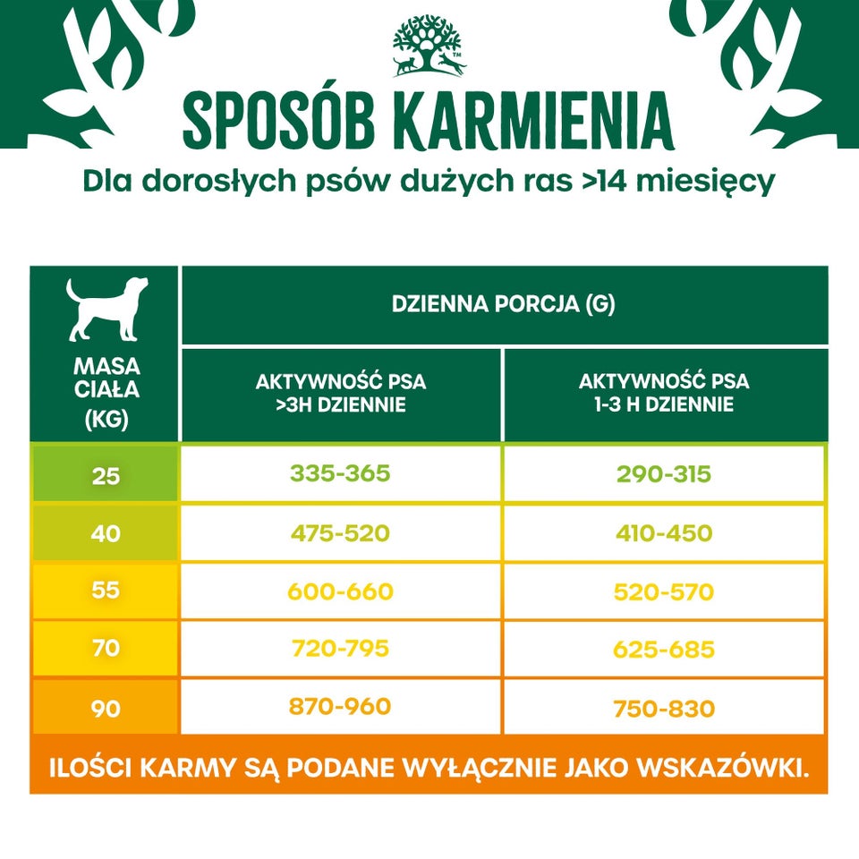 Hipoalergiczna Sucha Karma dla Dorosłych Psów Dużych Ras Bogata w Jagnięcinę 10 kg