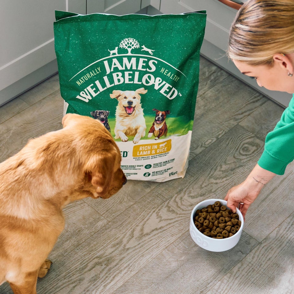 Hipoalergiczna Sucha Karma dla Dorosłych Psów Dużych Ras Bogata w Jagnięcinę 10 kg