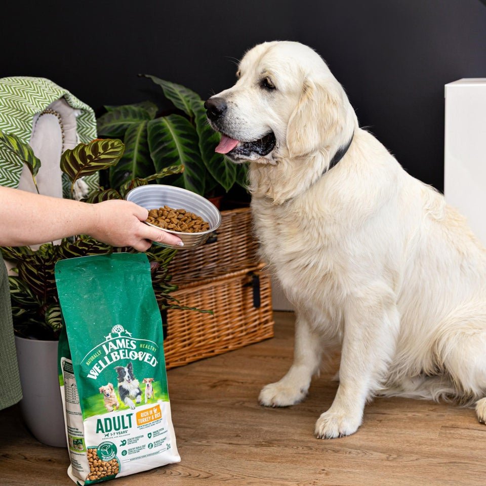 Hipoalergiczna Sucha Karma dla Dorosłych Psów Bogata w Indyka 2 kg