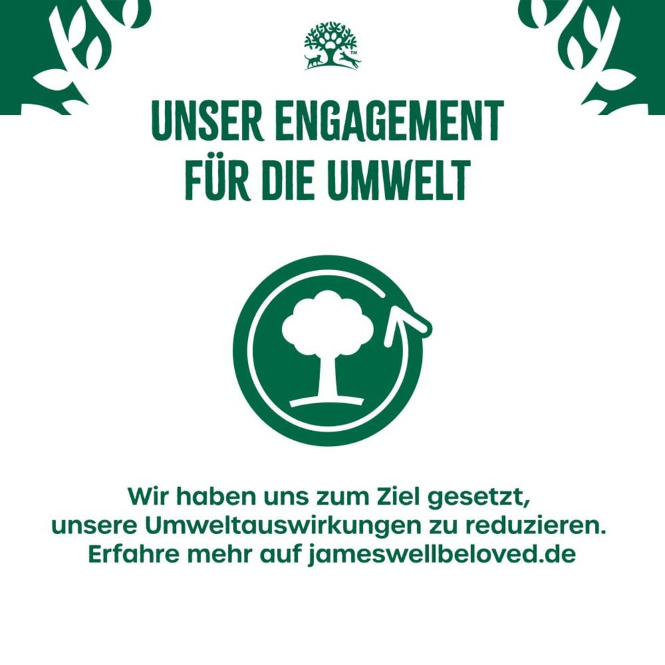 Adult Katze Nass ohne Getreide Truthahn in Sauce - 12x85g Portionsbeutel