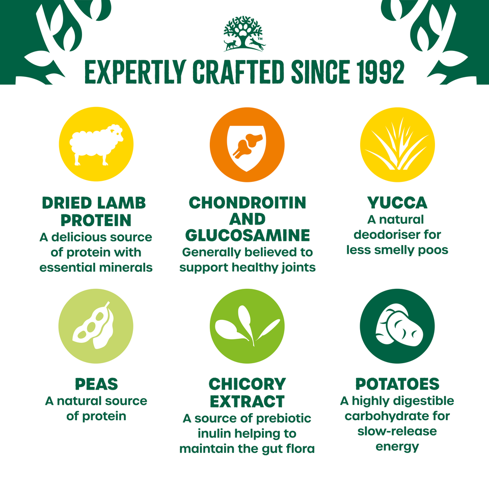 Senior Lamb & Veg Grain Free Dry Dog Food