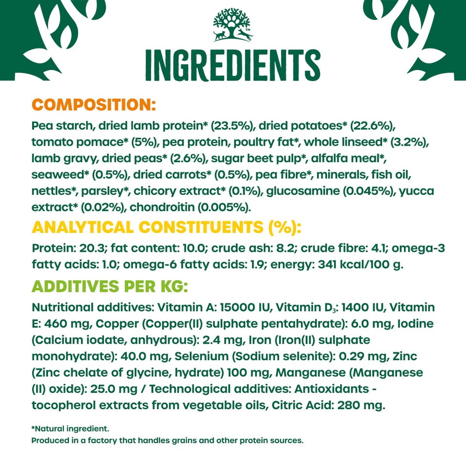 Senior Lamb & Veg Grain Free Dry Dog Food