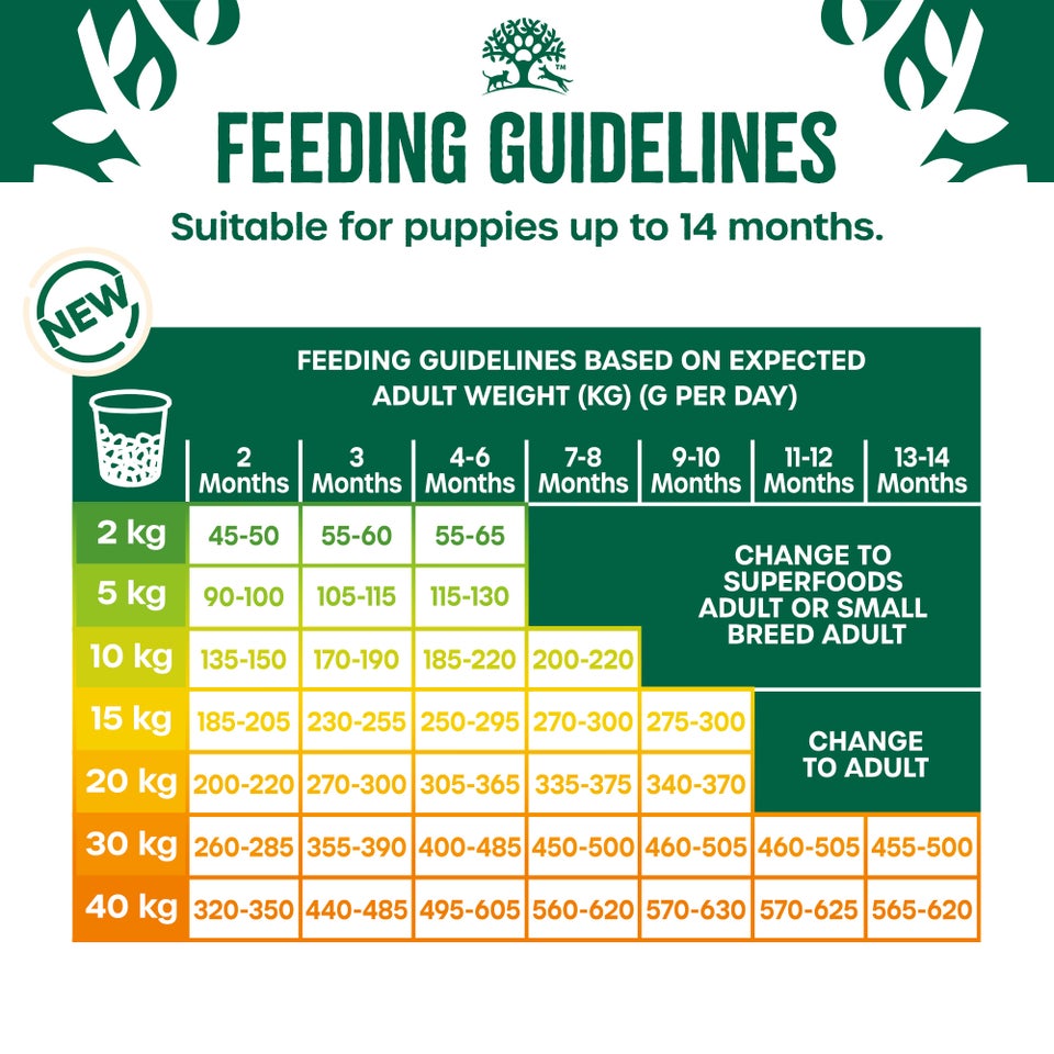 Puppy/Junior Turkey with Kale & Quinoa Dry Dog Superfoods