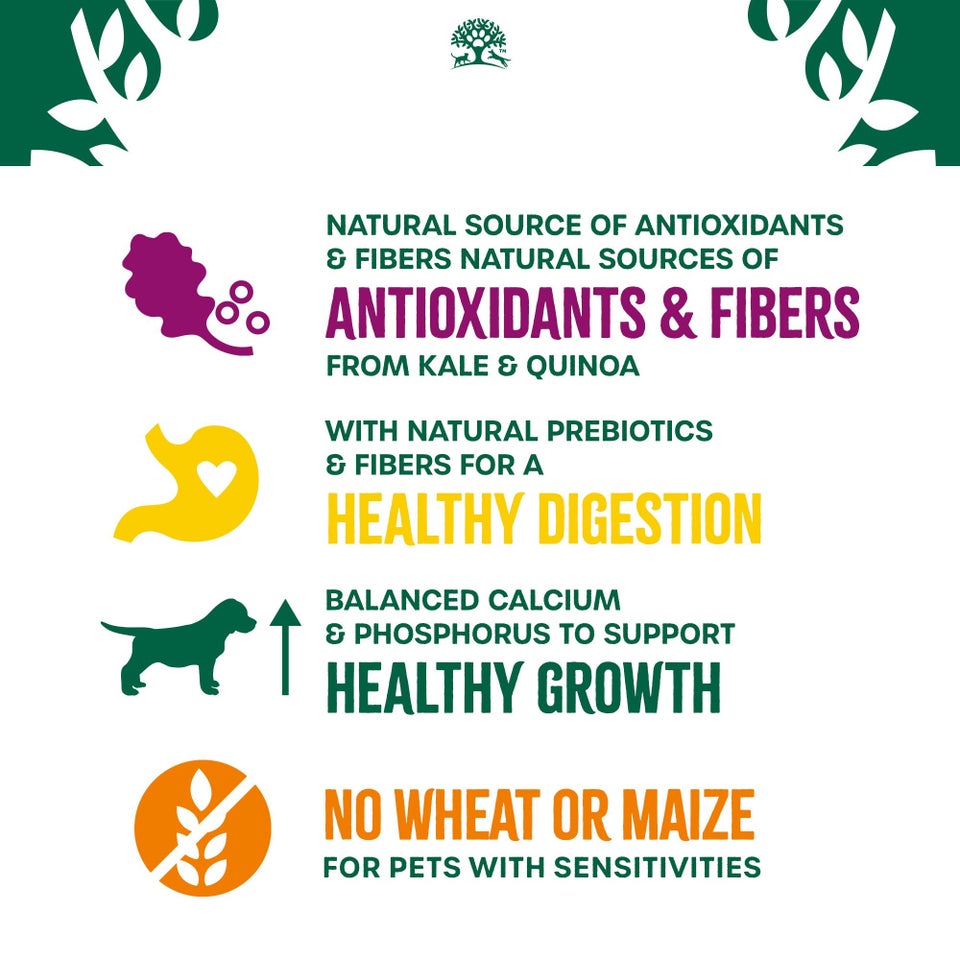 Puppy/Junior Turkey with Kale & Quinoa Dry Dog Superfoods