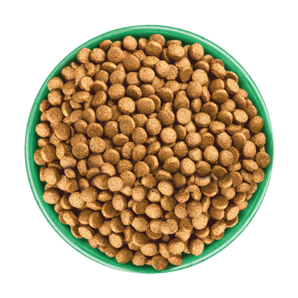 Puppy/Junior Turkey with Kale & Quinoa Dry Dog Superfoods