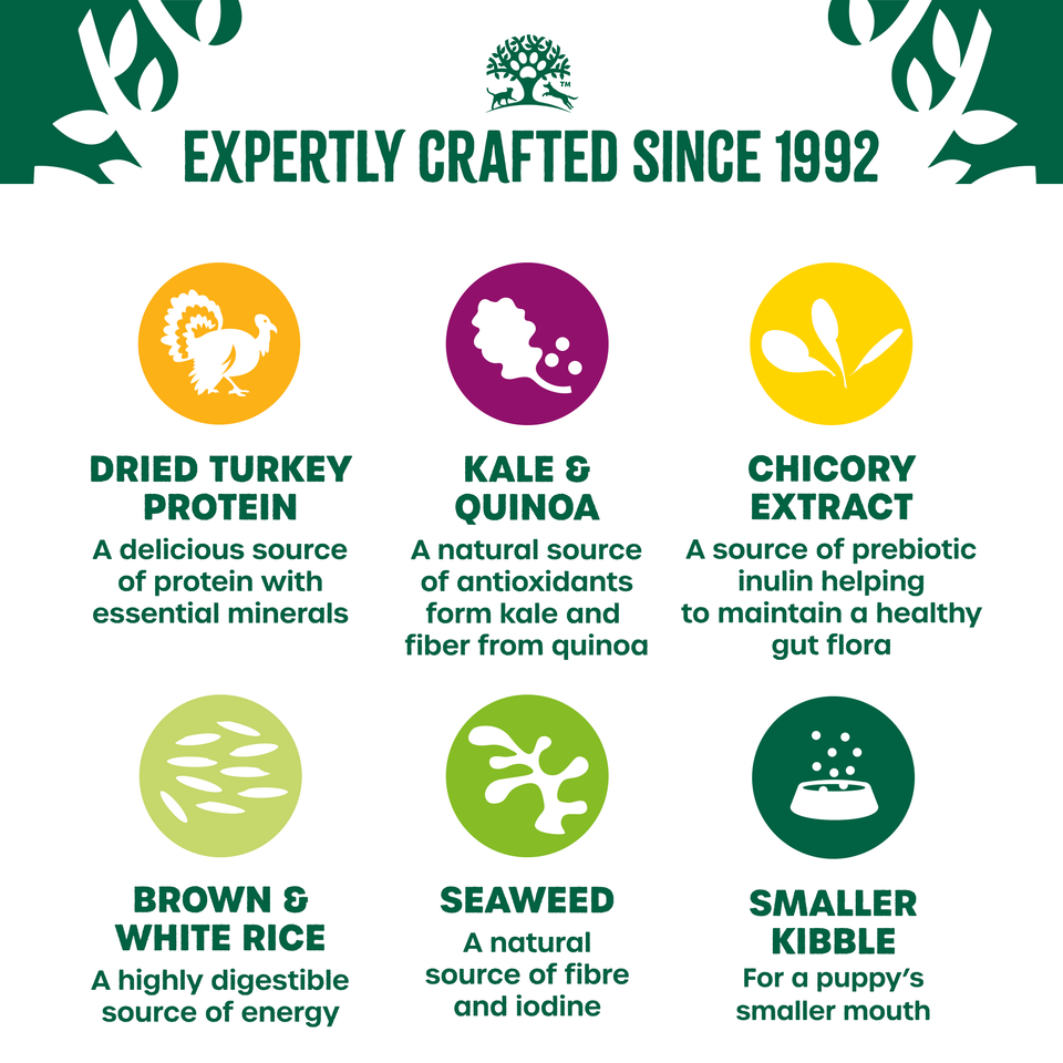 Puppy/Junior Turkey with Kale & Quinoa Dry Dog Superfoods