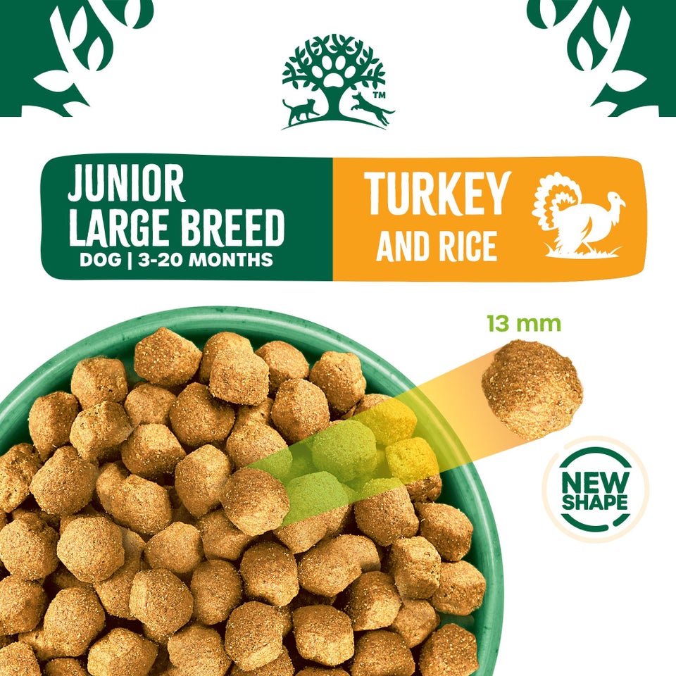 Junior Turkey & Rice Large Breed Dry Dog Food