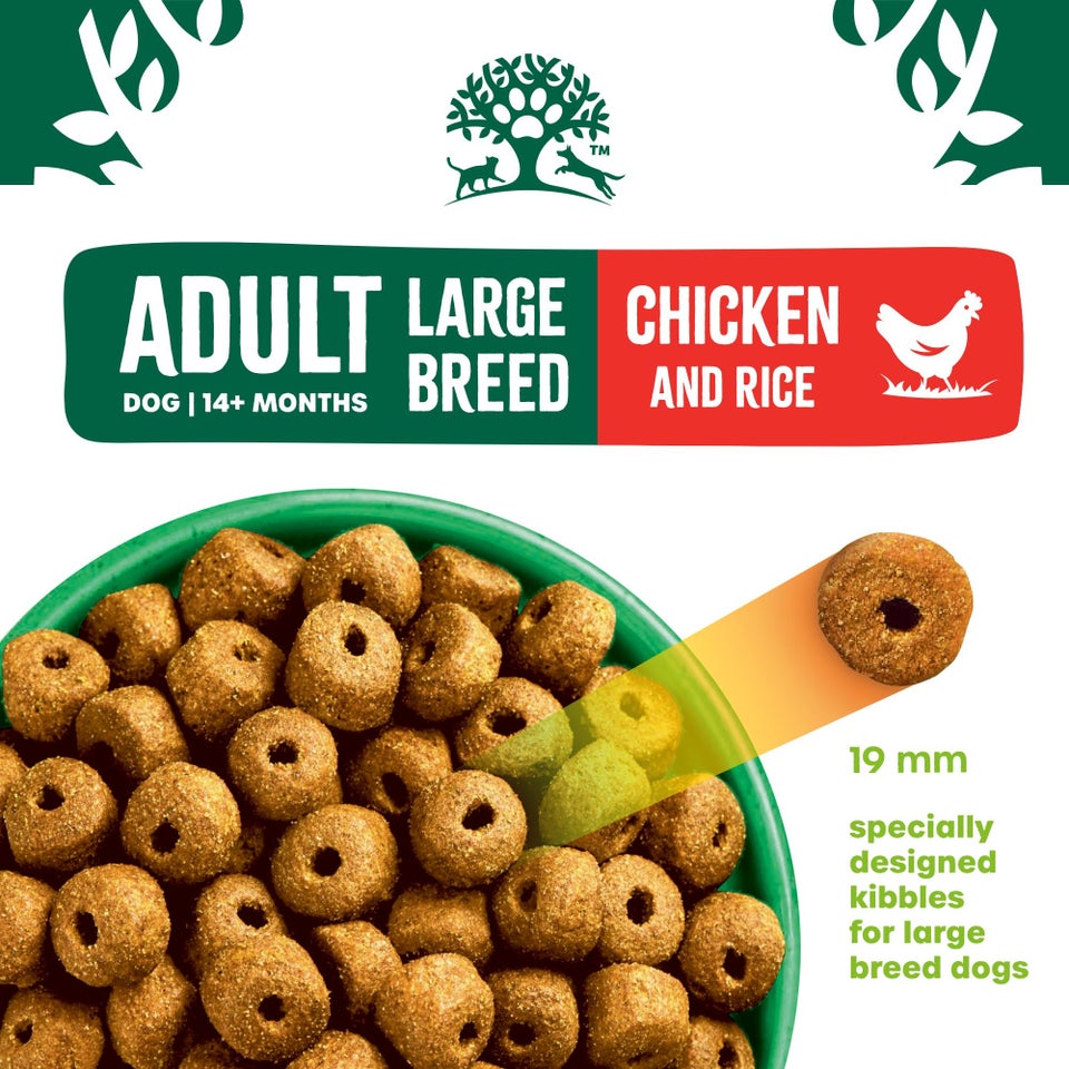 Adult Chicken & Rice Large Breed Dry Dog Food