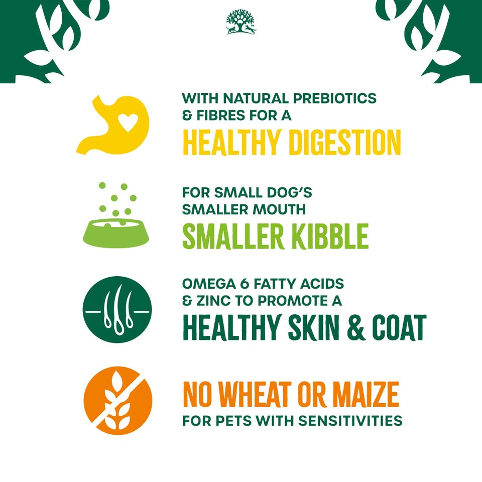 Adult Chicken & Rice Small Breed Dry Dog Food