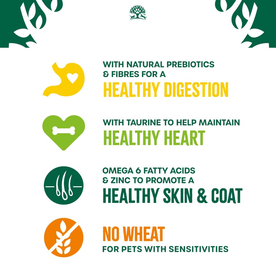 Senior Chicken Dry Cat Food