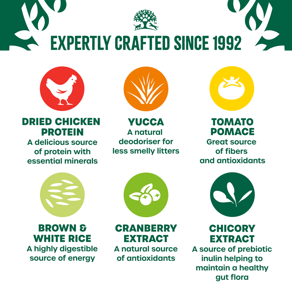 Senior Chicken Dry Cat Food