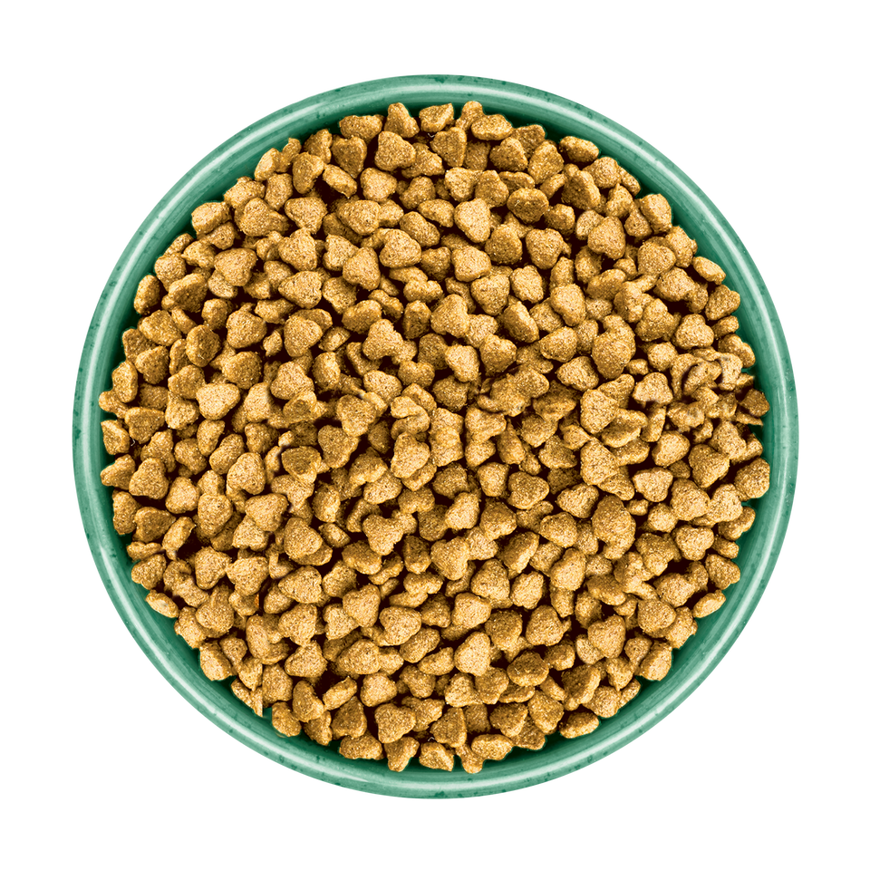 Puppy Fish & Rice Dry Dog Food