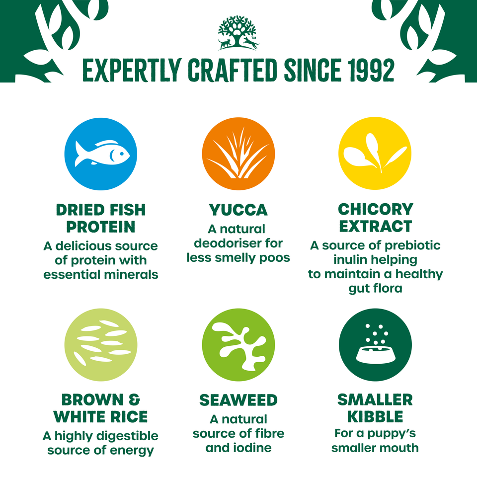 Puppy Fish & Rice Dry Dog Food