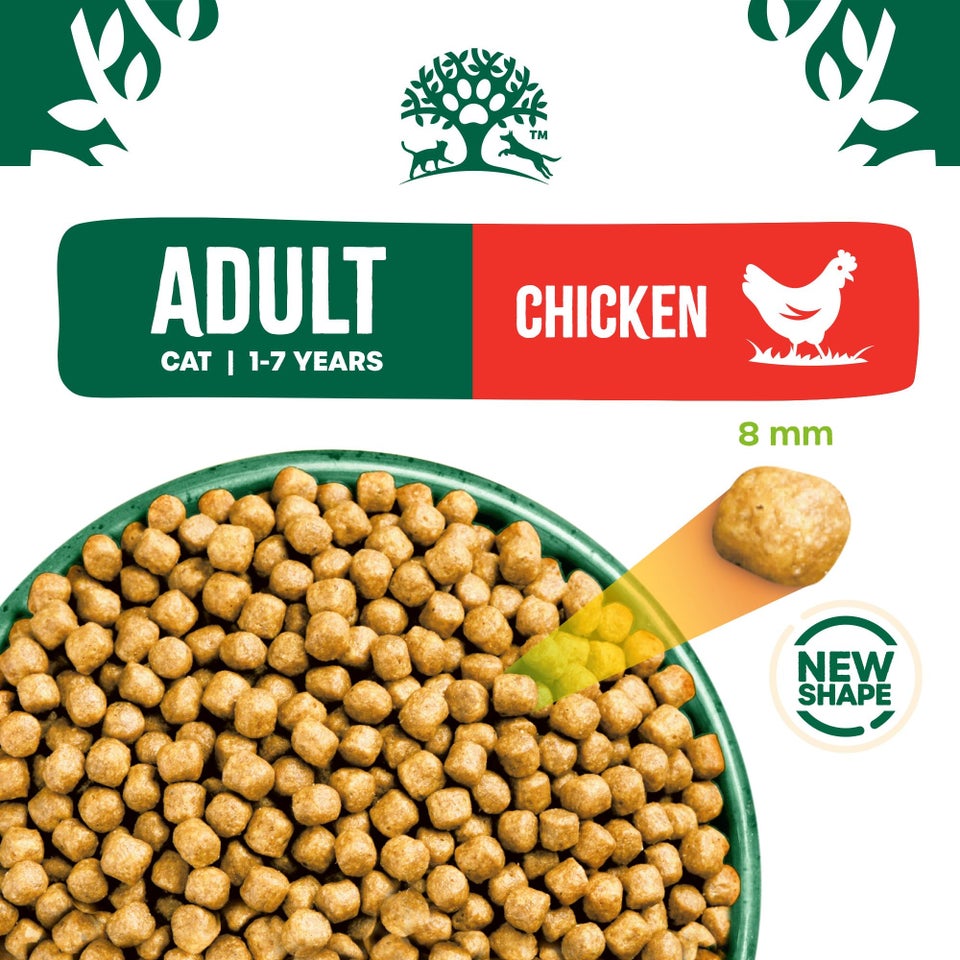 Adult Chicken & Rice Dry Cat Food