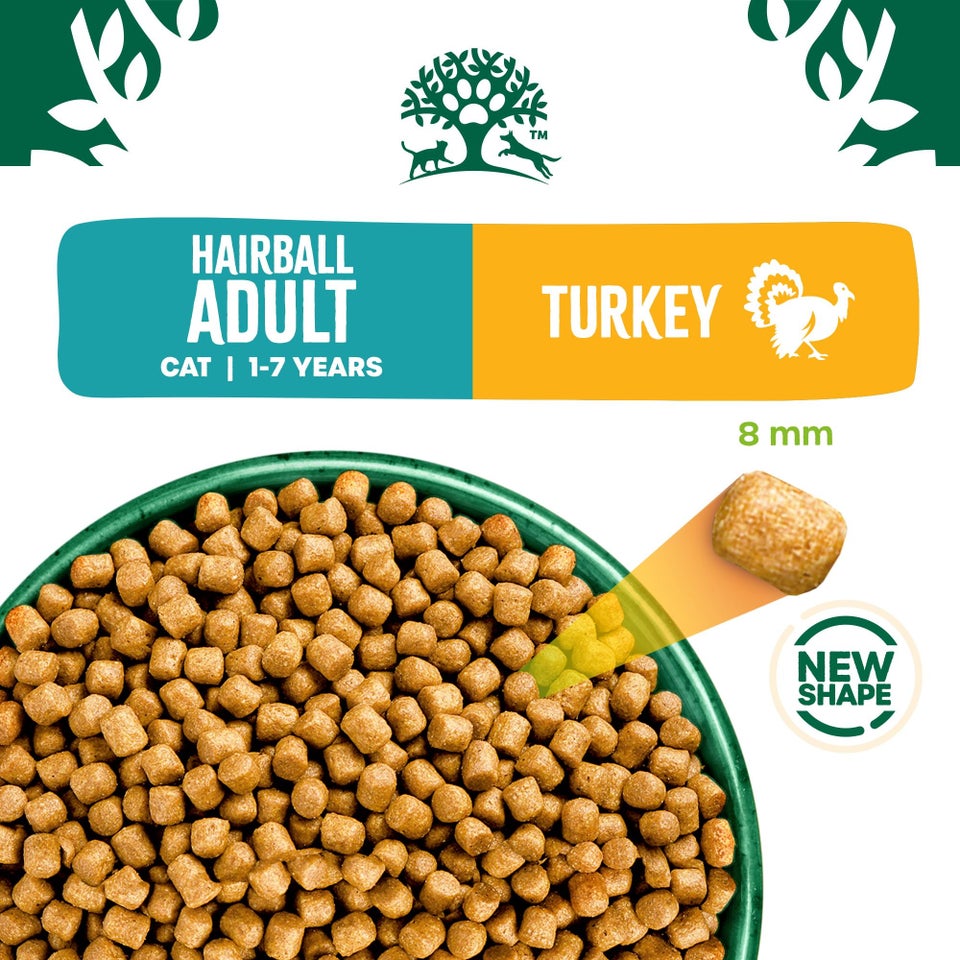 Adult Turkey Hairball Dry Cat Food