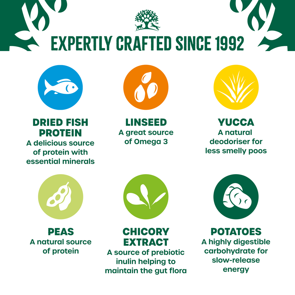 Adult Fish & Veg Grain Free Dry Dog Food