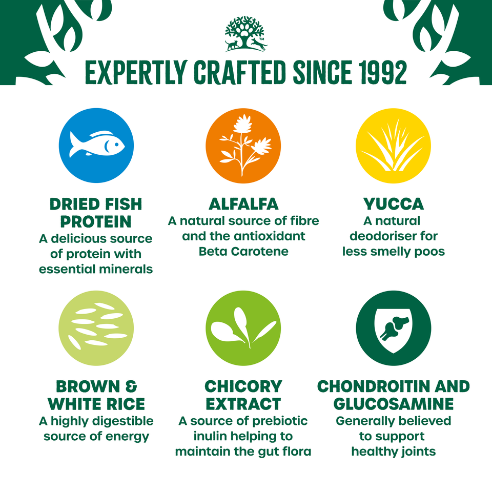 Senior Fish & Rice Dry Dog Food