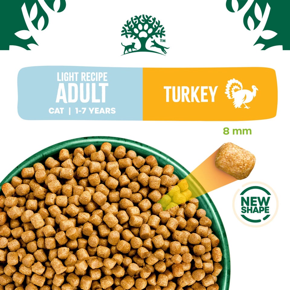 Adult Turkey & Rice Light Dry Cat Food