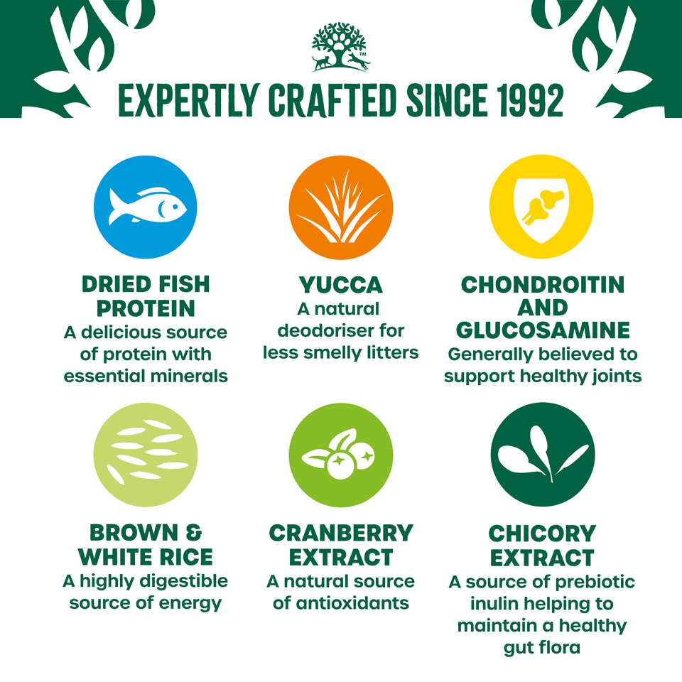 Adult Fish Dry Cat Food Light