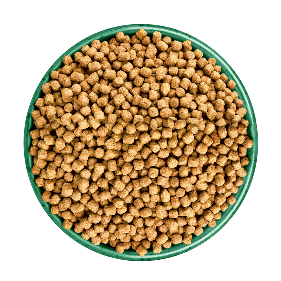 Adult Fish Dry Cat Food Light