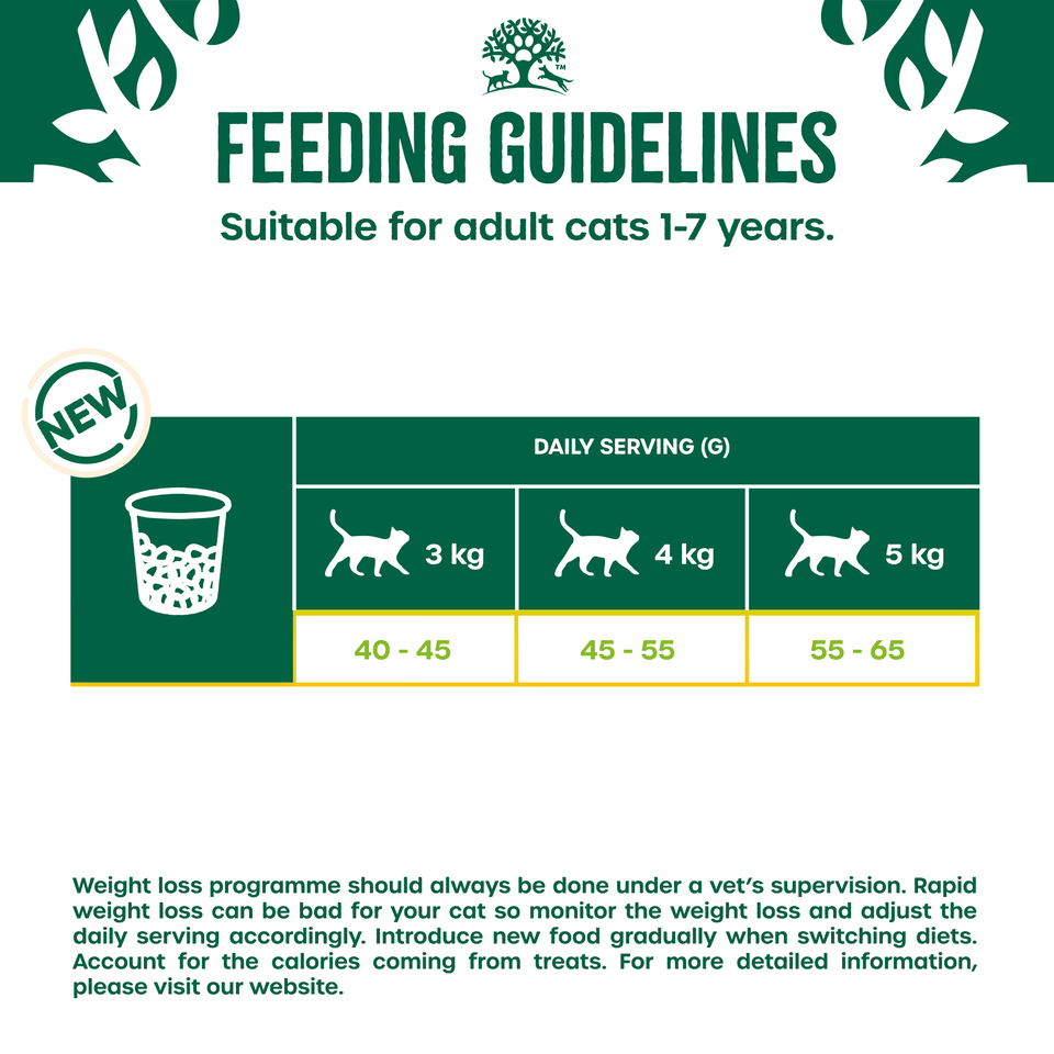 Adult Fish Dry Cat Food Light