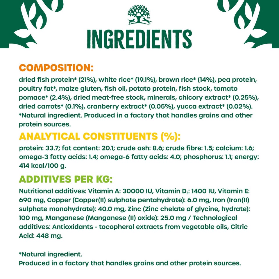 Kitten Fish Dry Cat Food