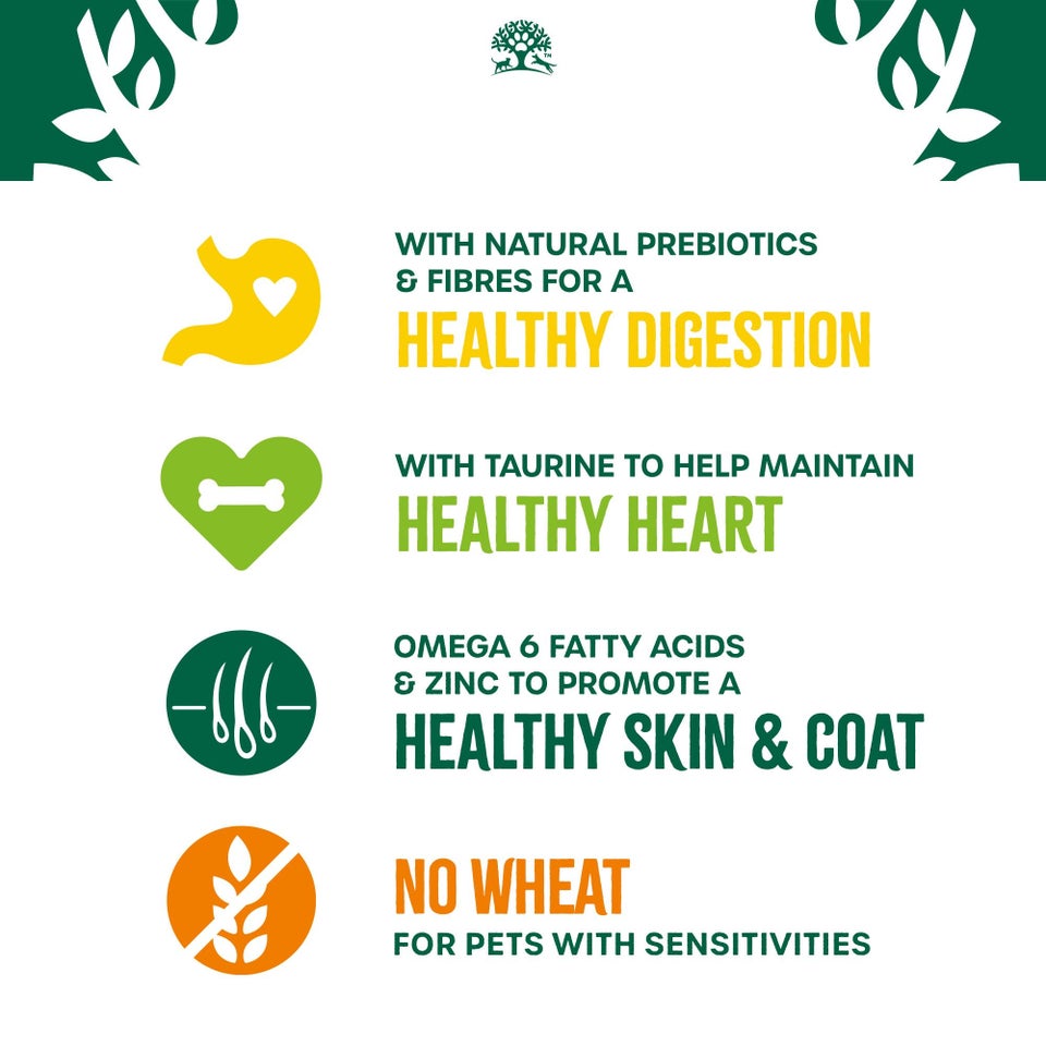 Senior Fish & Rice Dry Cat Food