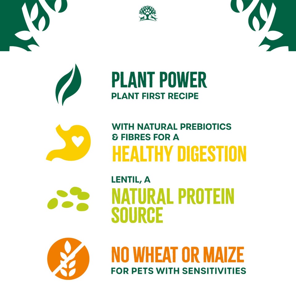 Adult Lamb Dry Dog Food Plant Power