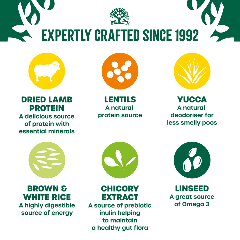 Adult Lamb Dry Dog Food Plant Power