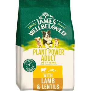 Adult Lamb Dry Dog Food Plant Power