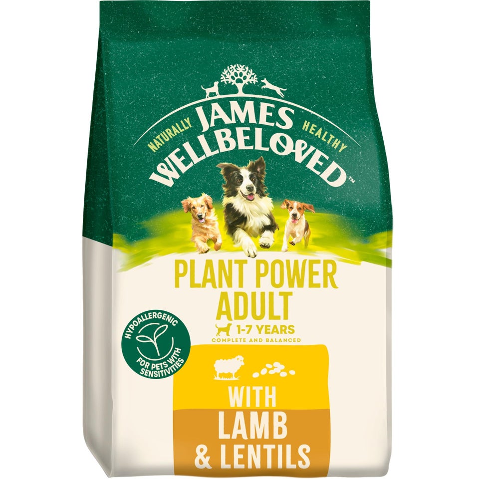 Adult Lamb Dry Dog Food Plant Power