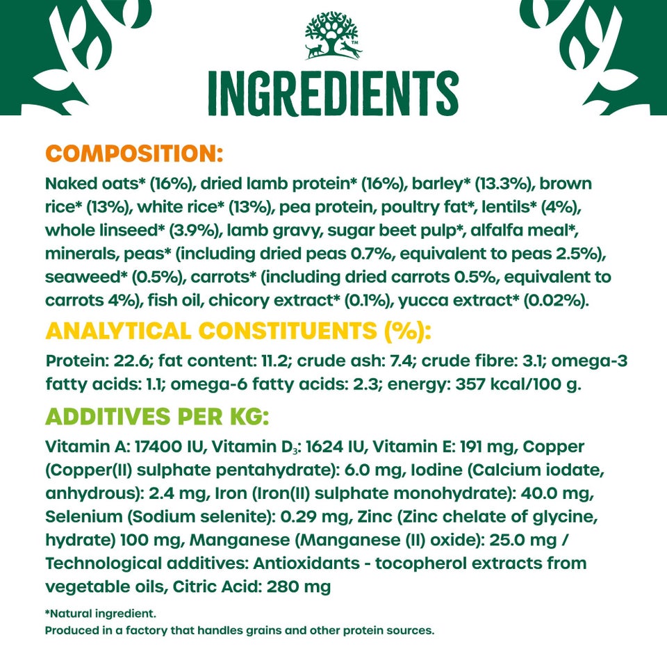 Adult Lamb Dry Dog Food Plant Power