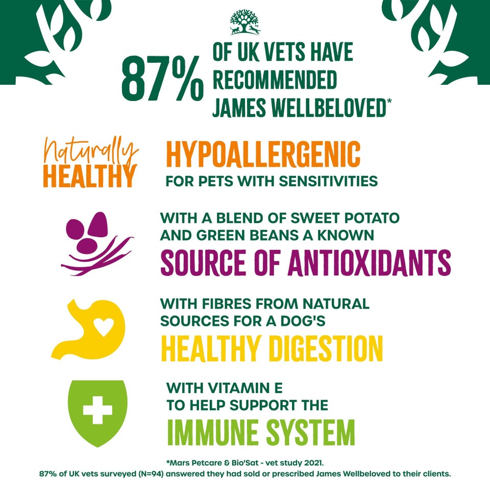 Adult Turkey in Gravy Wet Dog Superfoods Pouches 48 pouches