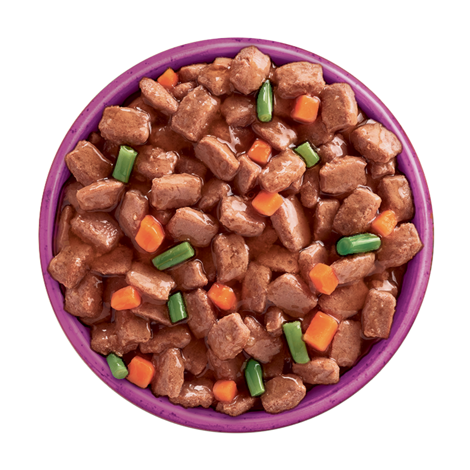 Adult Turkey in Gravy Wet Dog Superfoods Pouches 48 pouches