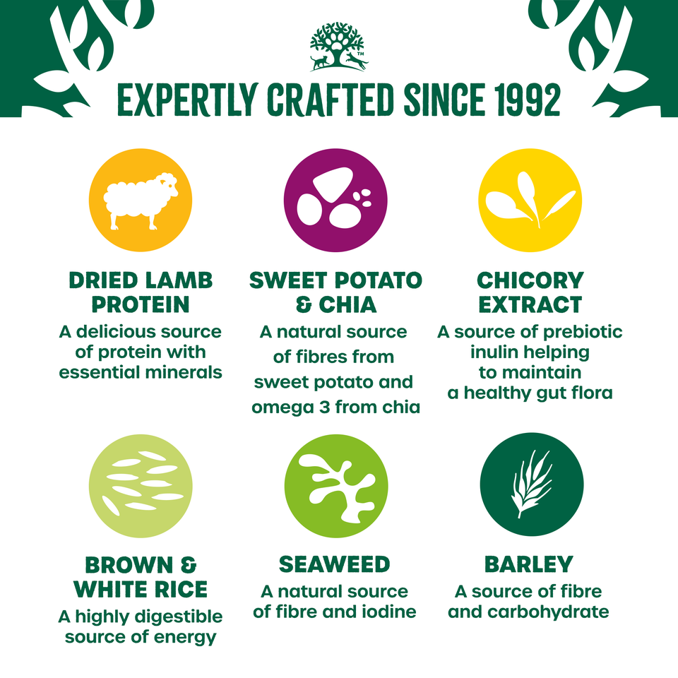 Adult Lamb with Sweet Potato & Chia Dry Dog Superfoods 10kg