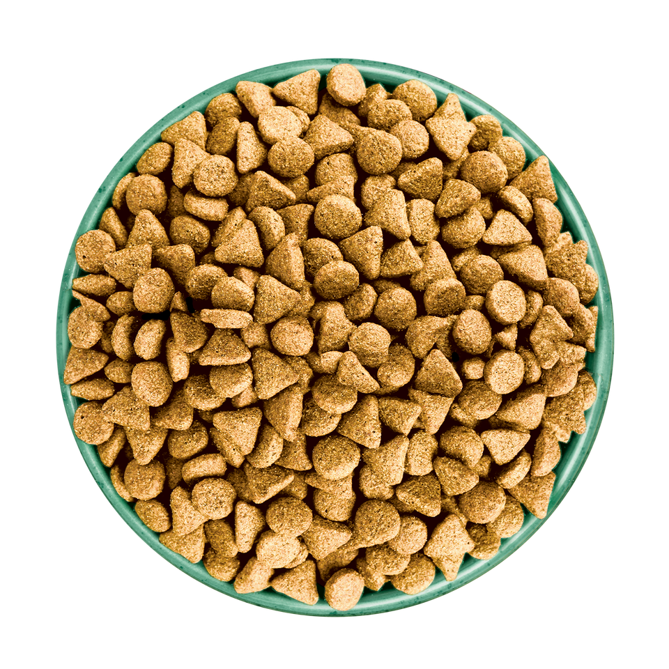 Adult Lamb with Sweet Potato & Chia Dry Dog Superfoods 10kg