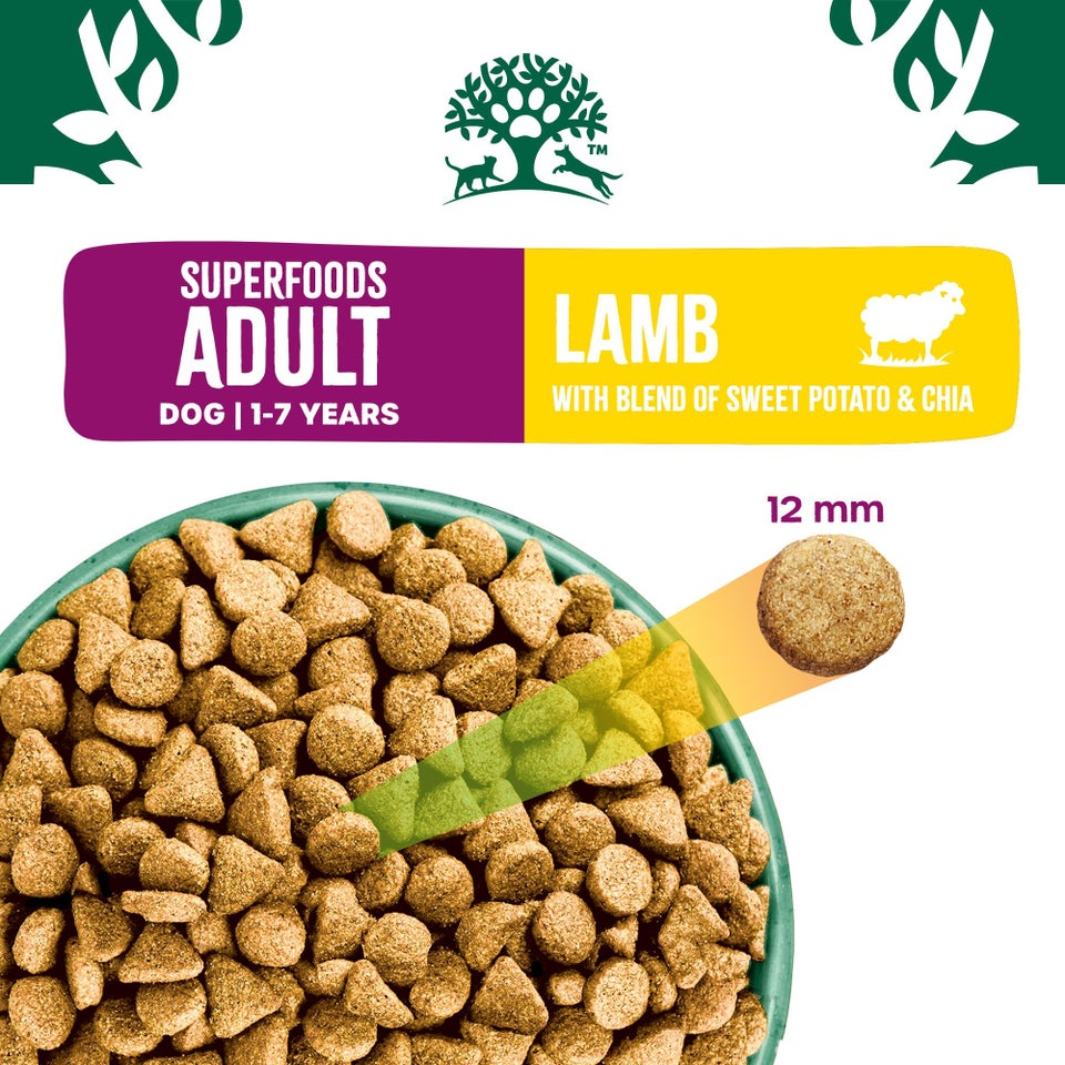 Adult Lamb with Sweet Potato & Chia Dry Dog Superfoods 10kg