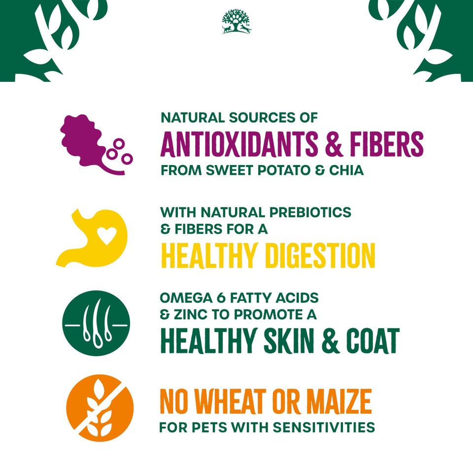 Adult Lamb with Sweet Potato & Chia Dry Dog Superfoods 10kg