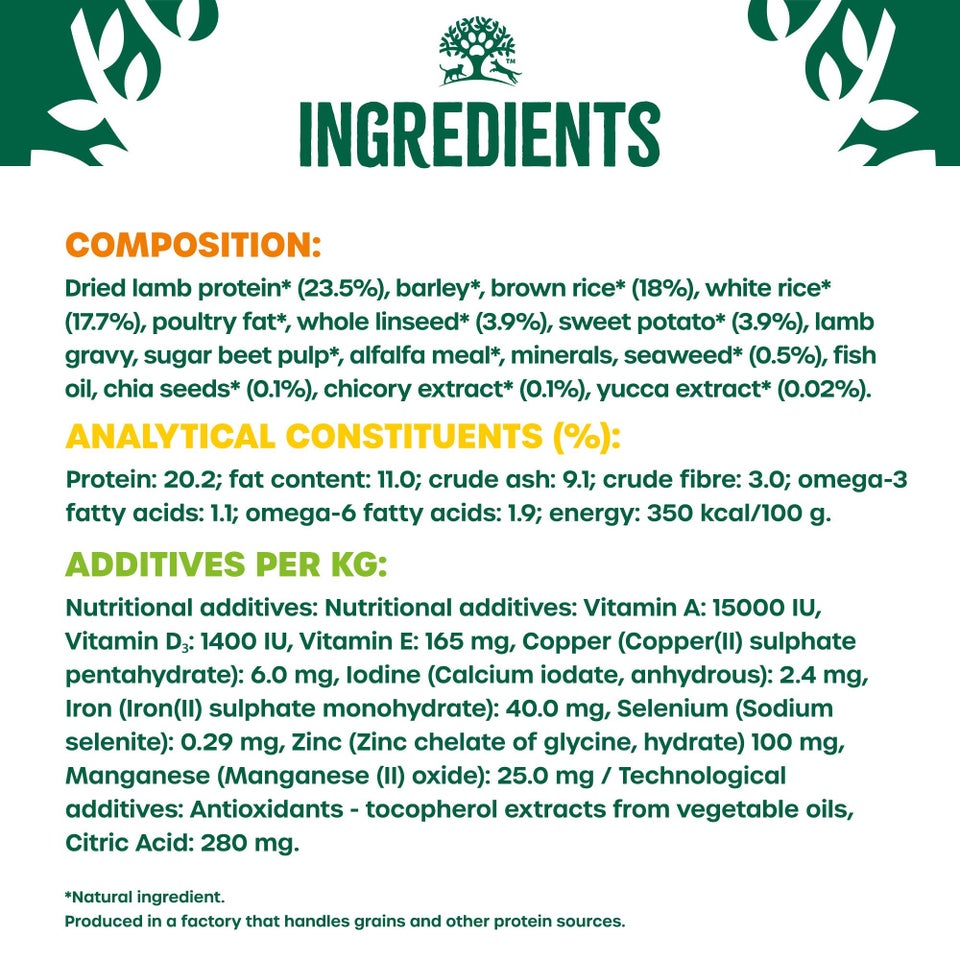 Adult Lamb with Sweet Potato & Chia Dry Dog Superfoods 10kg