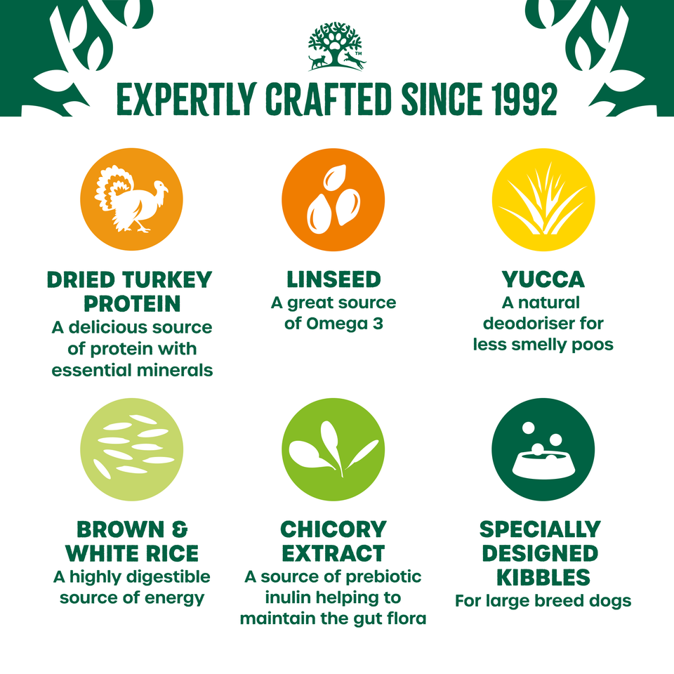 Adult Turkey & Rice Large Breed Dry Dog Food 10kg