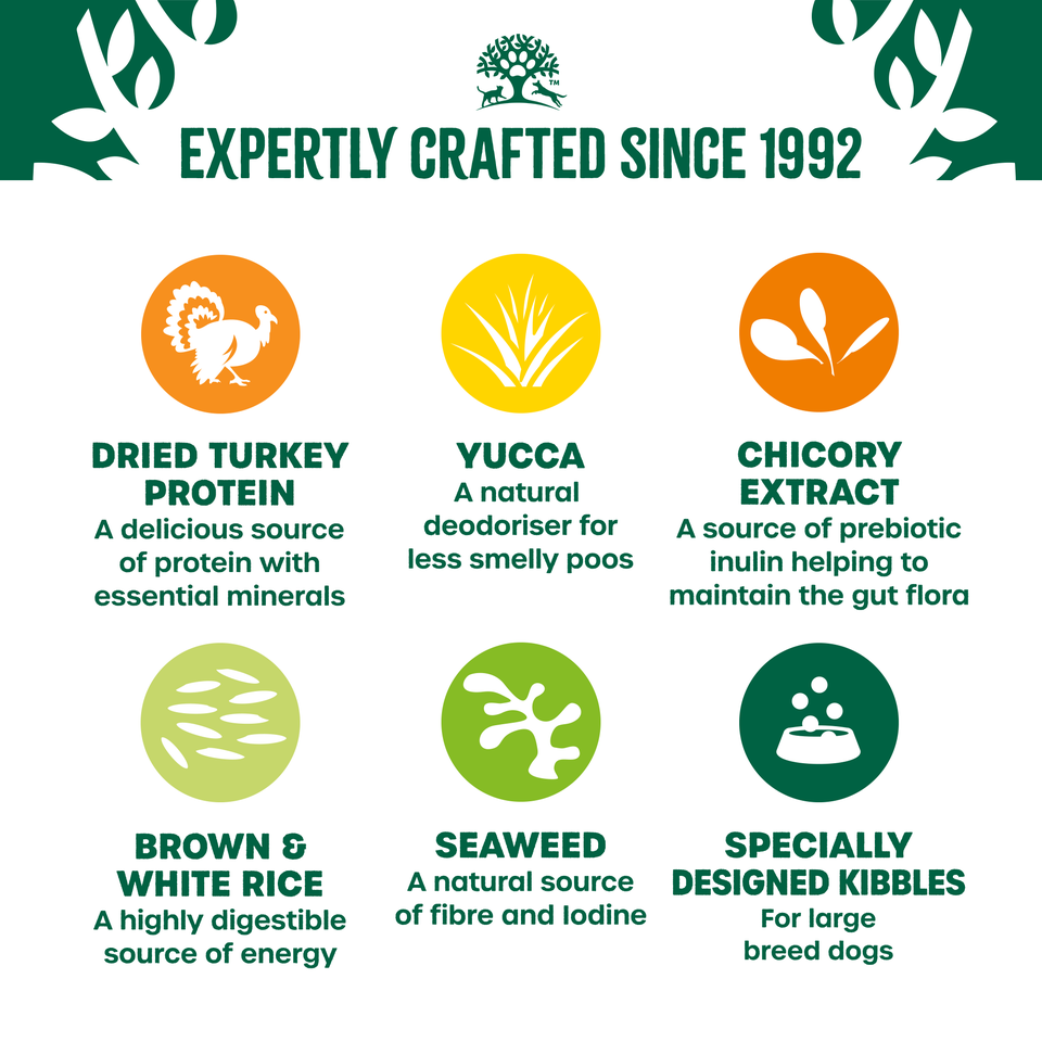 Junior Turkey & Rice Large Breed Dry Dog Food 12kg