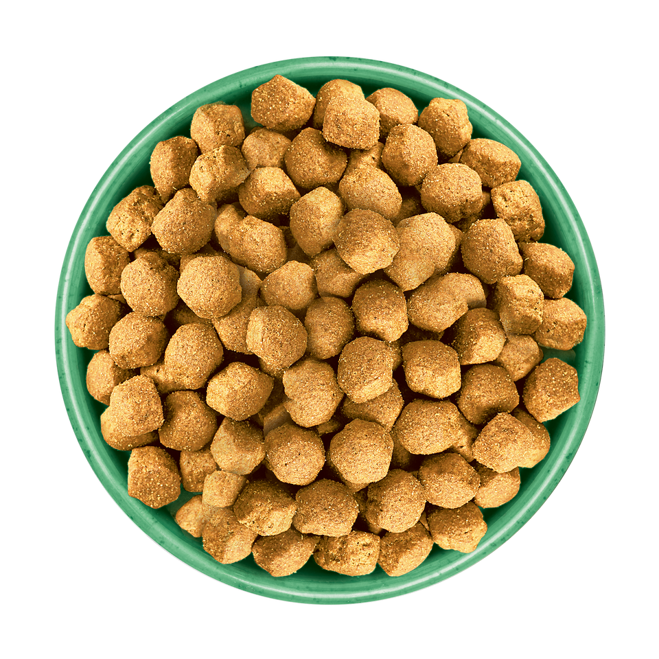 Junior Turkey & Rice Large Breed Dry Dog Food 12kg