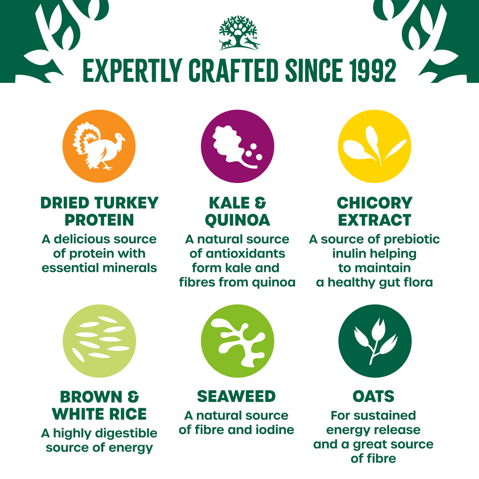 Adult Turkey With Kale & Quinoa Dry Dog Superfoods 10kg